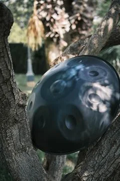 The handpan by the tree 스톡 사진