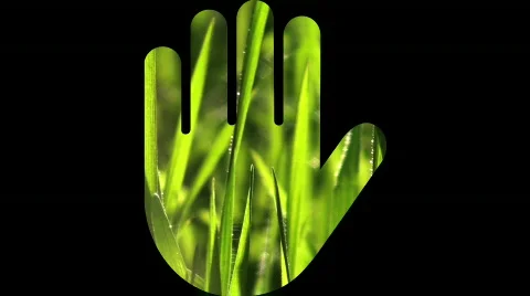 Handprint grass V1 - HD Stock Footage 751137