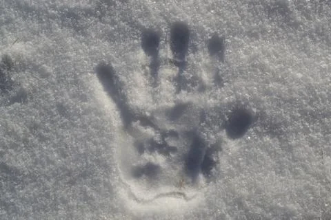 Handprint in the Snow. Stock Photos