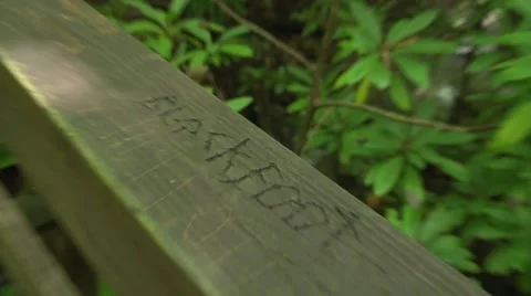 Handrail Carving 2 Stock Footage 41667388