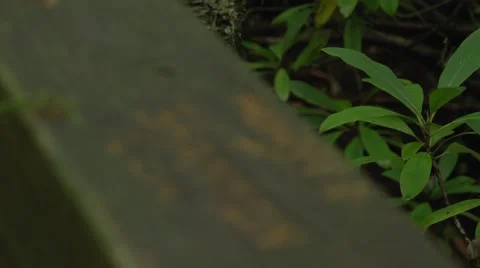 Handrail Carving 3 Stock Footage 41667375