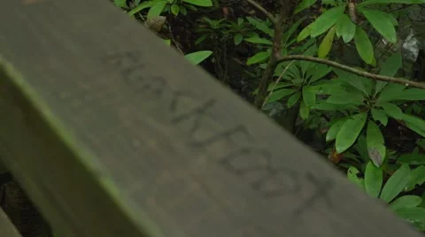 Handrail Carving 4 Stock Footage 41667418