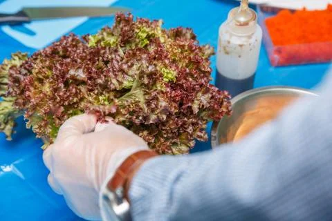 Hands adding lettuce leaves into bowl with salad Stock Photos