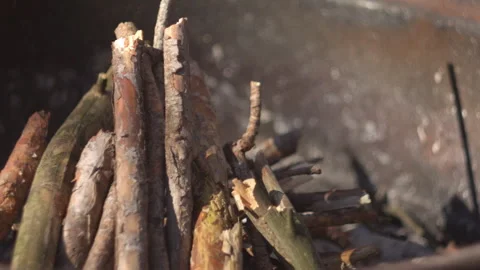 Hands adding wood to grill fire, close-up, forest background, spring light 動画素材 332556193
