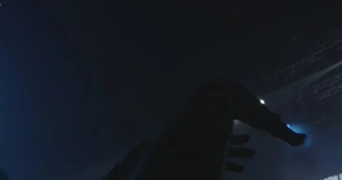 Hands in the air at an event Slow Motion Stock-Footage 248068998