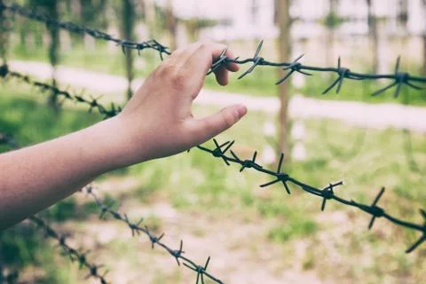 Hands and barbed wire. Stock Photos