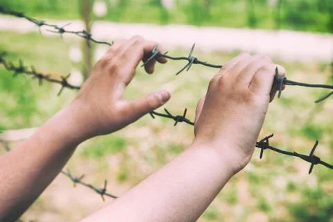 Hands and barbed wire. Stock Photos