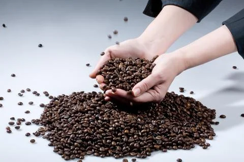 Hands and beans Stock Photos
