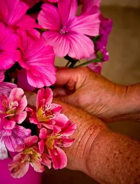 Hands and flowers Stock Photos