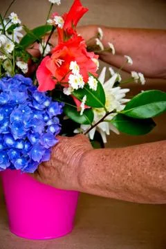Hands and flowers Stock Photos