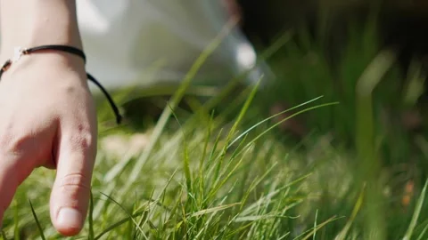 Hands and grass Stock Footage 330883628