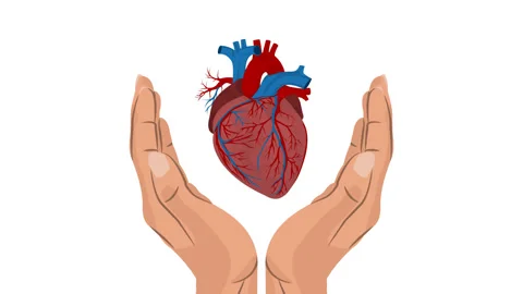 Hands and heart Stock Footage 329779073