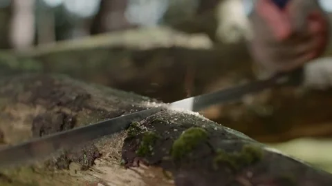 Hands and working gloves sawing through an old and rotten tree with a hacksaw Stock Footage 85213573