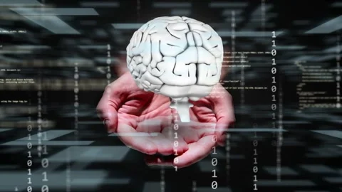 Hands appearing then raising brain floating above palms, binary streams Stock Footage 335652062