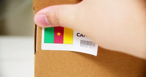 Hands applying MADE IN CAMEROON  flag label on a shipping cardboard box Stock Footage 200092900