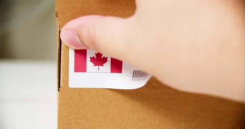 Hands applying MADE IN CANADA flag label on a shipping cardboard box with Stock Footage 199557438