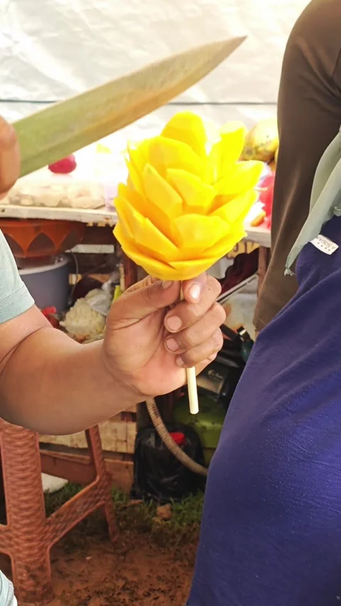 Hands are creating mango flower Stock Footage 282325340
