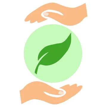 Hands are holding a leaf. Green leaf in the hands. Stock Illustration