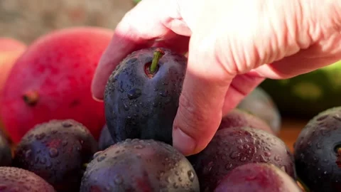 Hands are picking up a plum Stock Footage 321538754