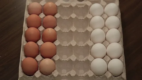 Hands are playing chess - eggs. White and brown eggs in carton cell Stock Footage 84561060