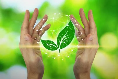 Hands are protecting with leaf and environment icons over the Network connect Foto stock