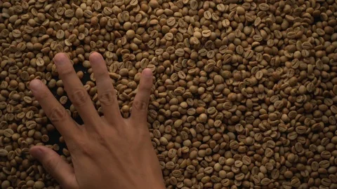 A hands are take and spewing coffee beans Video stock 116223055