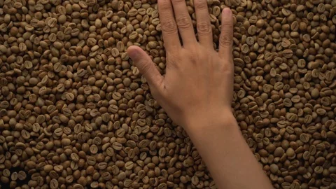 A hands are take and spewing coffee beans Video stock 116223070