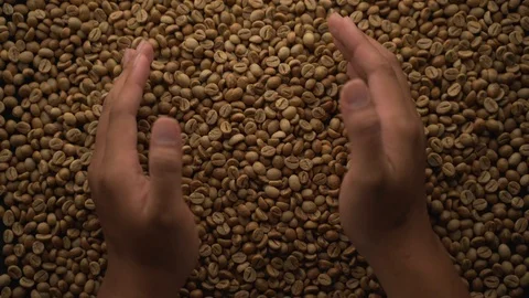 A hands are take and spewing coffee beans Video stock 116223106