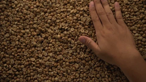 A hands are take and spewing coffee beans Video stock 116223339