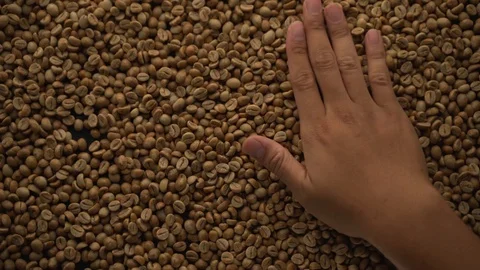 A hands are take and spewing coffee beans Video stock 116223368
