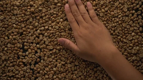 A hands are take and spewing coffee beans Video stock 116223461