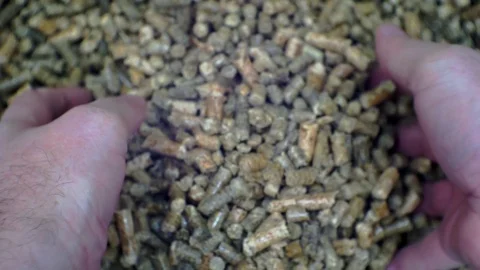 Hands are testing wood pellets. Stock Footage 100291463