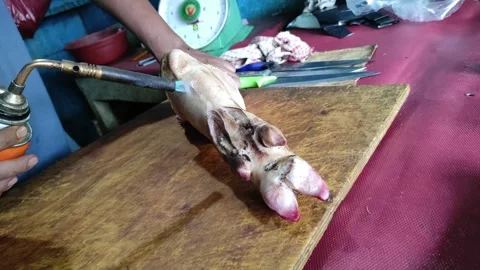 Hands are torching front leg of a pork Stock Footage 260202900