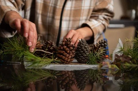 Hands arrange pinecones, pine branches, and greenery into festive arrangement Stock Photos