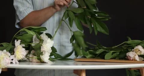 Hands arranging delicate white peonies on a table for a floral display Stock Footage 339078990