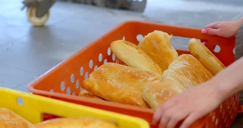 Hands arranging freshly baked bread rolls in orange plastic crate on bakery Stock Footage 344582817