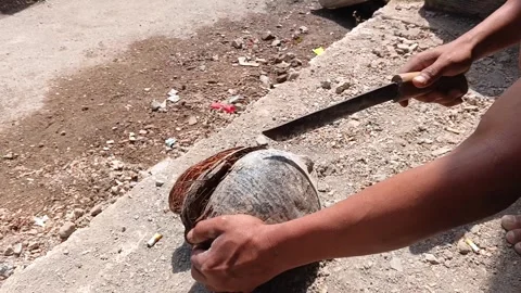 Hands of an Asian man peeling a dry coconut. Stock-Footage 335018967