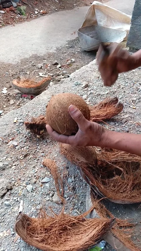 Hands of an Asian man removing the hard coconut Stock Footage 335018988