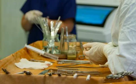 Hands of assistant surgeon Stock Photos