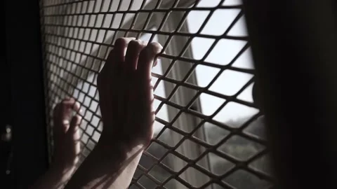 Hands Attack and Hold Tight on The Metal Mesh Window Stock Footage 153581134