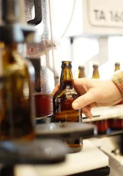Hands, beer and bottle in factory, brewery or manufacturing plant for quality Stock Photos