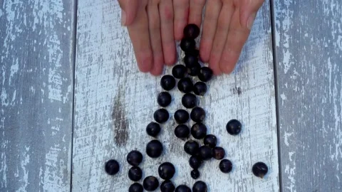 Hands with black currant berries. Stock Footage 157560739