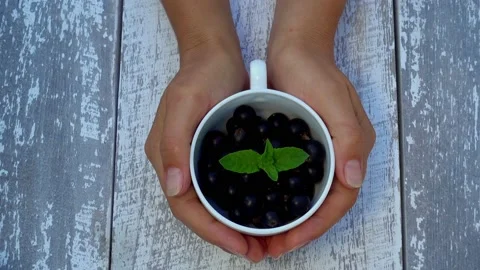 Hands with black currant berries in a white bowl. Stock Footage 157550574