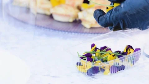 Hands in black gloves lay out the leaves of violets for snacks. Stock Footage 133515508