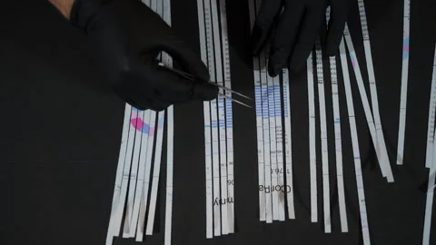 Hands in black gloves reassembling shredded document, secrecy, data recovery. Stock Footage 304303995