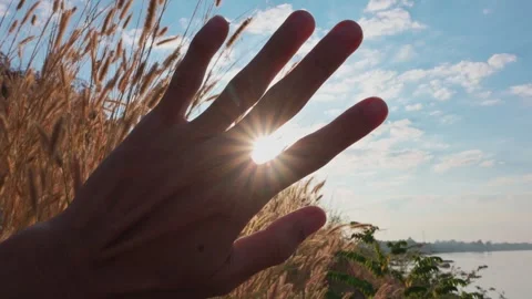 Hands blocking sunlight Stock Footage 246526756