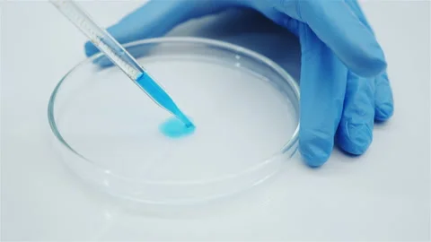 Hands in blue gloves. Glose up glass petri dishes with a blue liquid.  Stock Footage 140846728