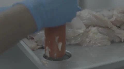 Hands in blue gloves pushing chicken breasts into a meat processor Stock-Footage 327353526