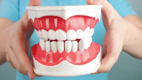 Hands of boy holding giant chattering teeth toy displaying movement and detail Stock Footage 306296270