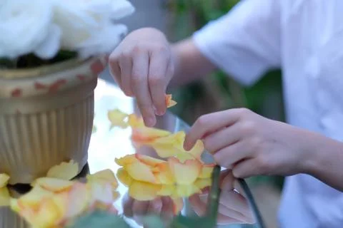 Hands of a boy sitting at a mirror table with rose petals Stock Photos